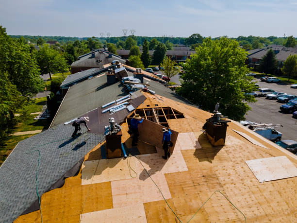 Best New Roof Installation  in Fraser, MI