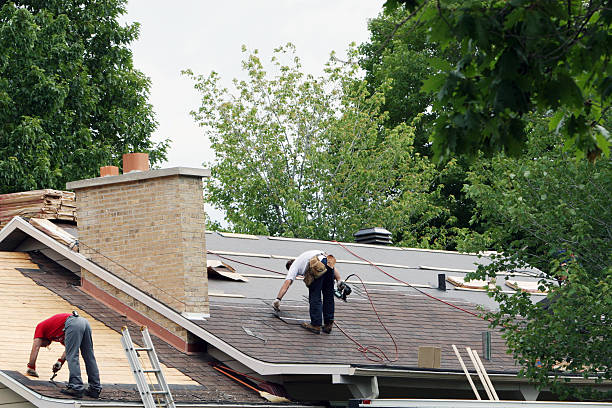 Best Roof Waterproofing Services  in Fraser, MI