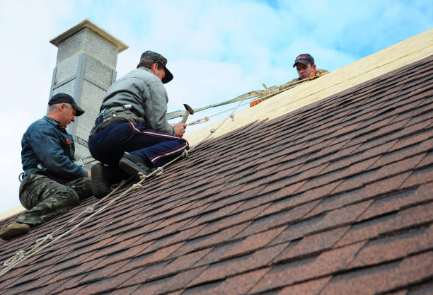 Best Commercial Roofing Services  in Fraser, MI