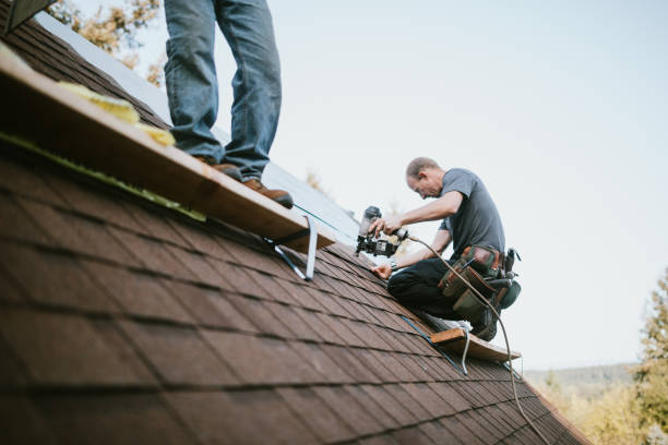 Best Roof Maintenance Services  in Fraser, MI