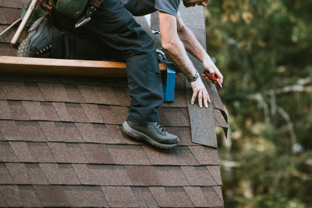 Best Storm Damage Roof Repair  in Fraser, MI